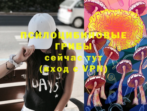 молекула духа Гусиноозёрск
