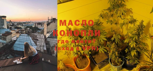 молекула духа Гусиноозёрск