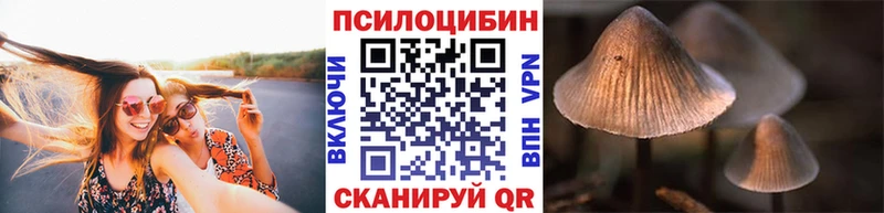 Галлюциногенные грибы Psilocybine cubensis  Купить где  Миасс 